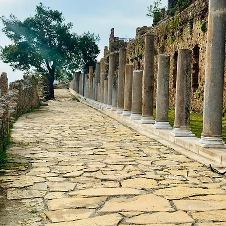 26 Cleopatra Legacy No 8 شقة ألانيا