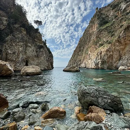 26 Cleopatra Legacy No 8 ألانيا