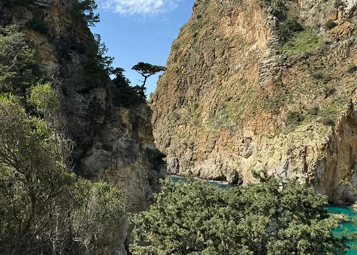 26 Cleopatra Legacy * אלאניה