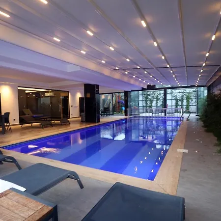 26 Cleopatra Legacy No 8 * Alanya