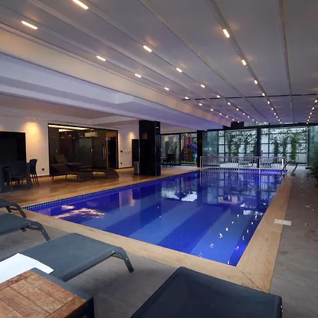 Apartment 26 Cleopatra Legacy No 8