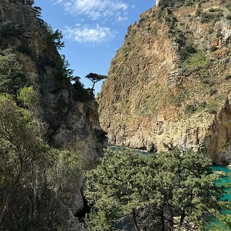 26 Cleopatra Legacy No 8 * Alanya